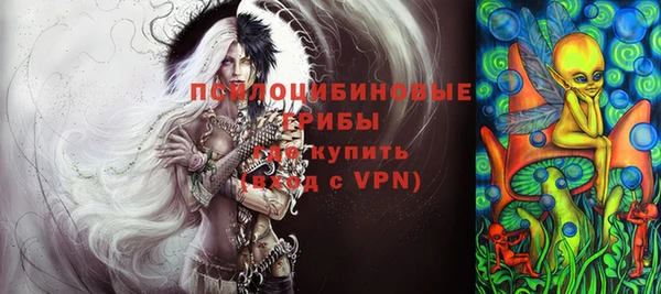соль ск Арсеньев